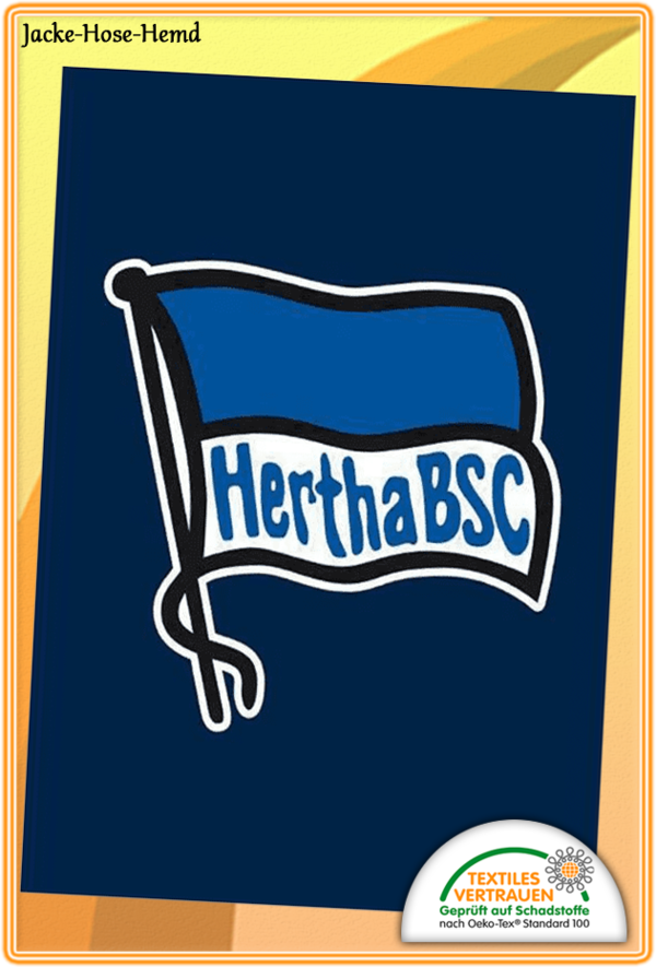 Decke Hertha BSC Polar-Fleecedecke Blau Fahne Logo Navy Gr. 150x200cm