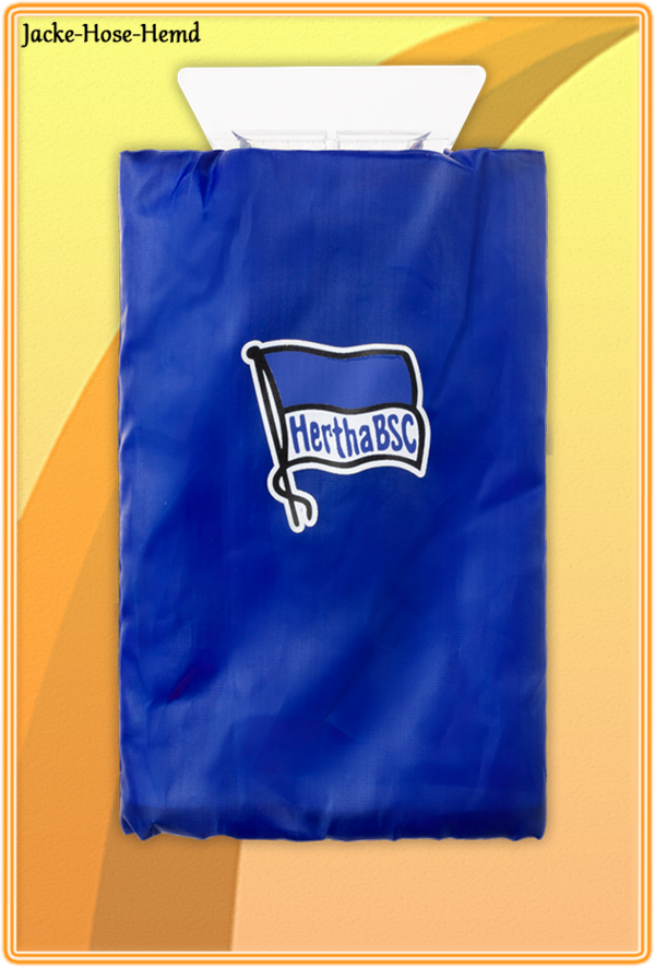 Eiskratzer Hertha BSC Logo Blau