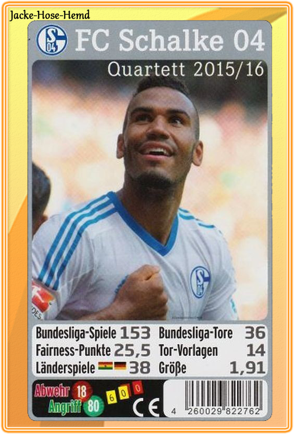 Quartett Kartenspiel von FC Schalke 04 Bundesliga Saison 2015/2016 Spiel